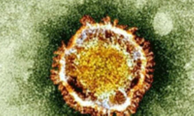 فیروس کورونا لن یجتاز عتبة الوباء