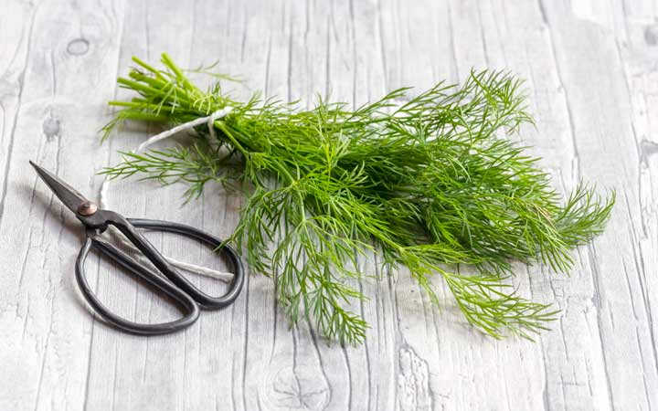 ۲۵ خوراکی که برای تغذیه کودکتان به آن احتیاج دارید ۲۵ خوراکی که برای تغذیه کودکتان به آن احتیاج دارید