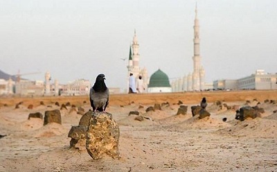 غربت .... غربت ....