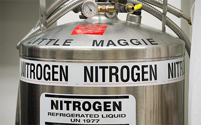 حفظ بدن انسان با استفاده از منجمد سازی حفظ بدن انسان با استفاده از منجمد سازی