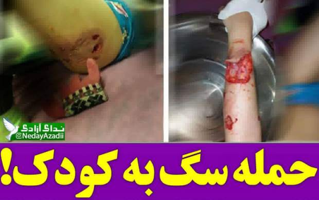 اعتراض یک بازیگر به ممنوعیت سگ‌گردانی در معابر عمومی + فیلم