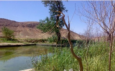 امام زاده ابراهیم