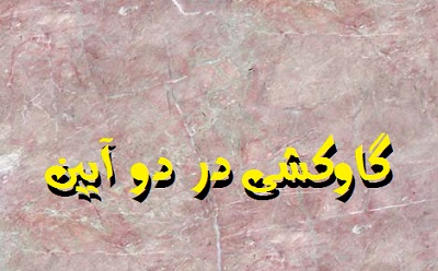 گاوکشی در دو آیین (قسمت دوم)