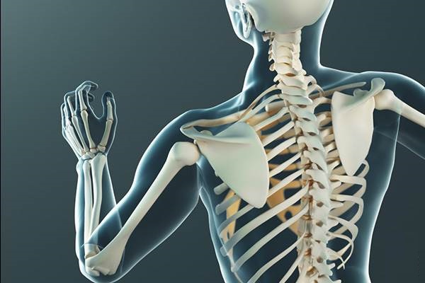 هرآنچه که باید راجع به اختلال استخوان زایی بدانیم