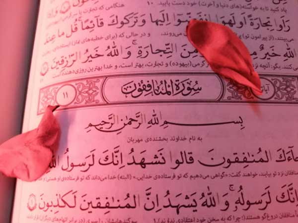 سوره منافقون