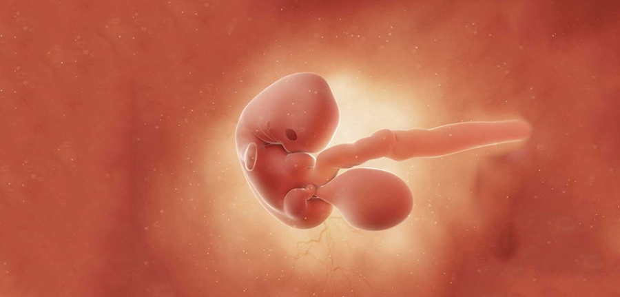 حاملگی خارج از رحم چیست؟