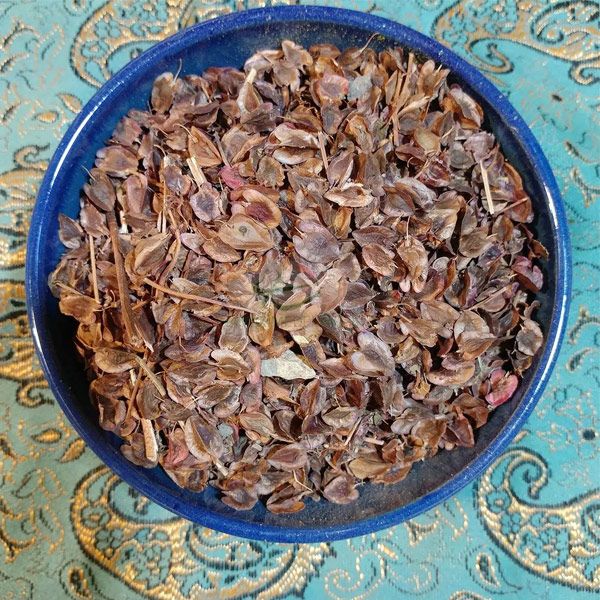 بهترین روش نگهداری از ریواس در یخچال و فریزر