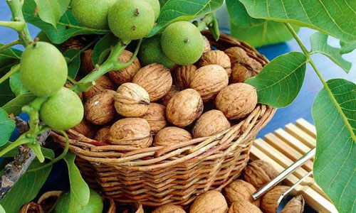 استان سمنان و جاذبه های دیدنی آن
