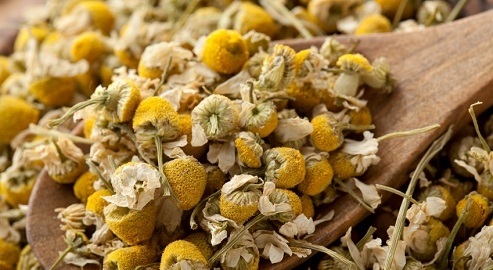 چای بابونه و تاثیرات شگفت انگیز آن