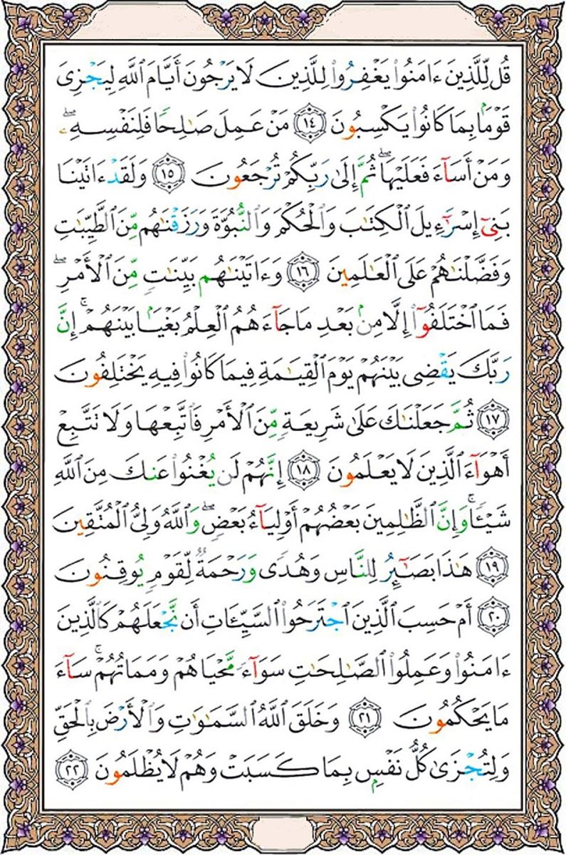 سوره جاثیه