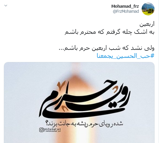 زبارتی از جنس نور / آقا به تو از دور سلام