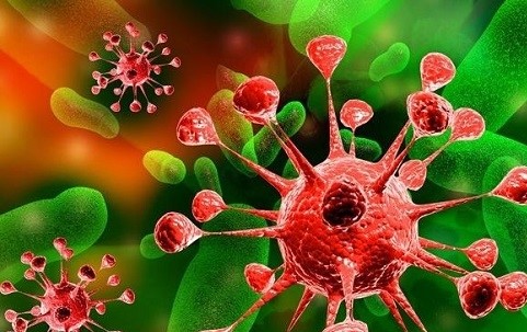 تب کنگو چیست؟ و چه علائمی دارد؟