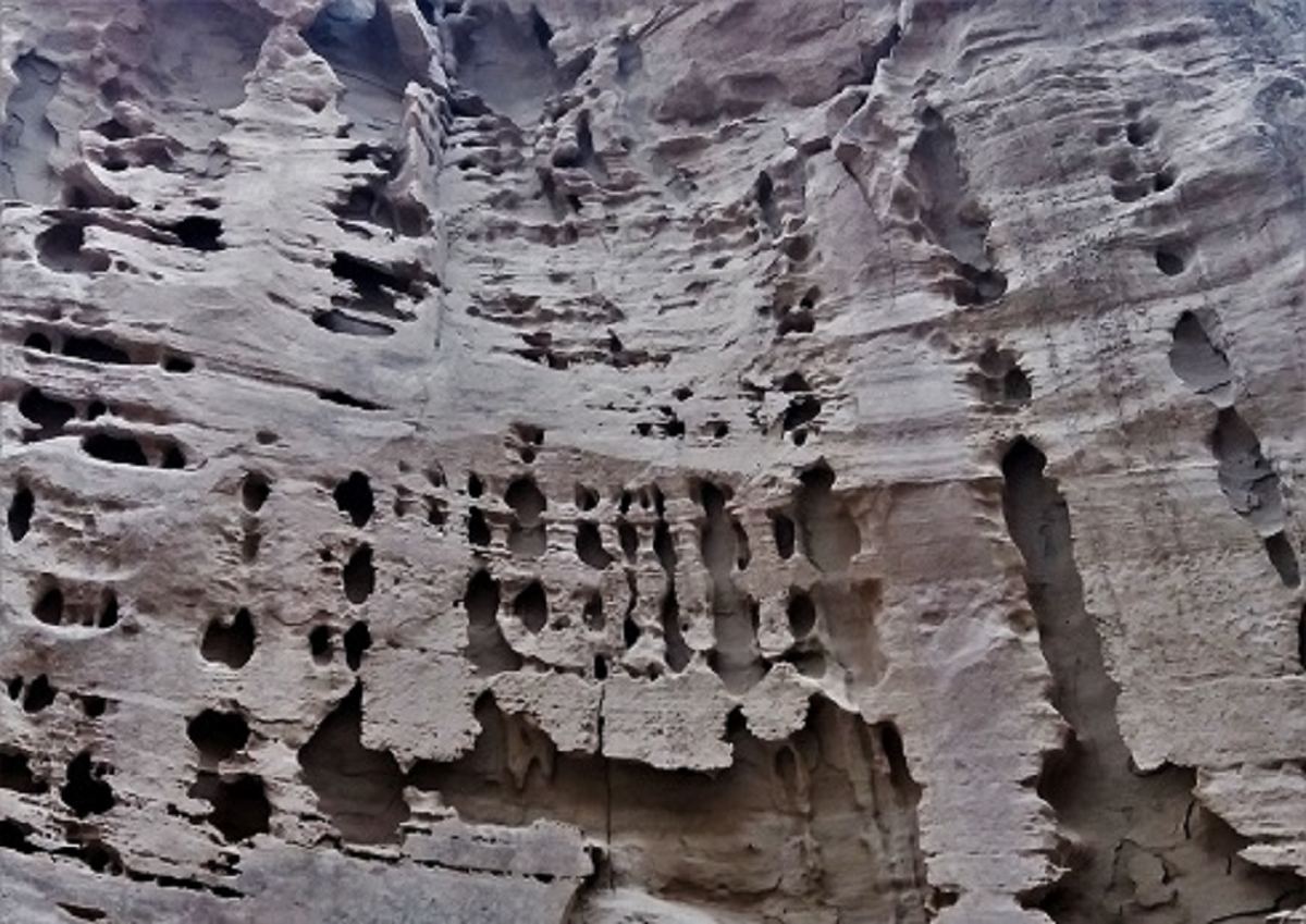 دره چاهکوه طبیعتی زیبا و کم نظیر برای گردشگران