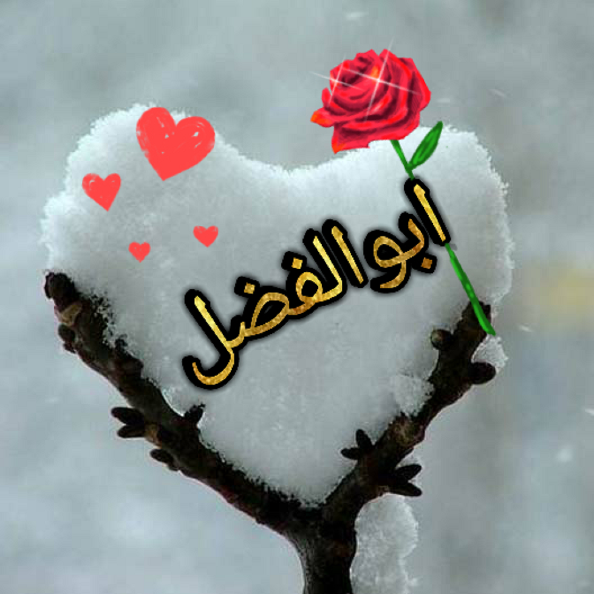 معنی اسم ابوالفضل و نام های هم آوا با آن + میزان فراوانی در ثبت احوال