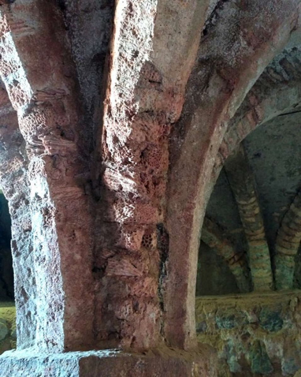 جذابیتهای زیبای جزیره ی هرمز