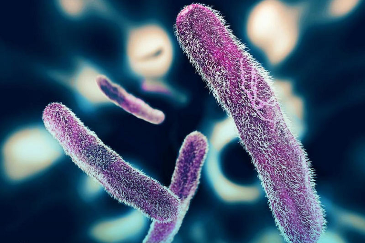 علت اسهال خونی علائم ، تشخیص و روش‌های درمان آن