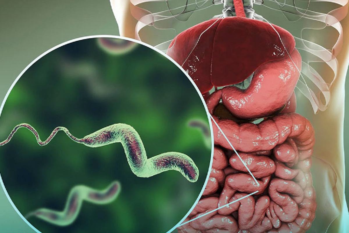 علت اسهال خونی علائم ، تشخیص و روش‌های درمان آن