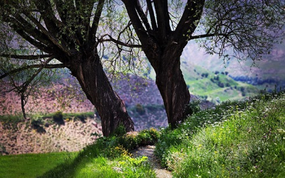دشت ازو طبیعتی زیبا و خارق العاده در دماوند