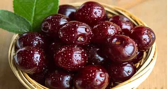 دستور پخت مربای گیلاس