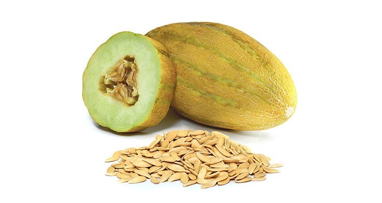 چقدر از خواص تخم خربزه می‌دانید؟