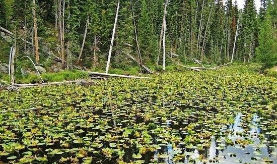 دریاچه دو اقیانوسی