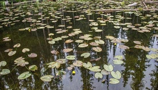 دریاچه دو اقیانوسی