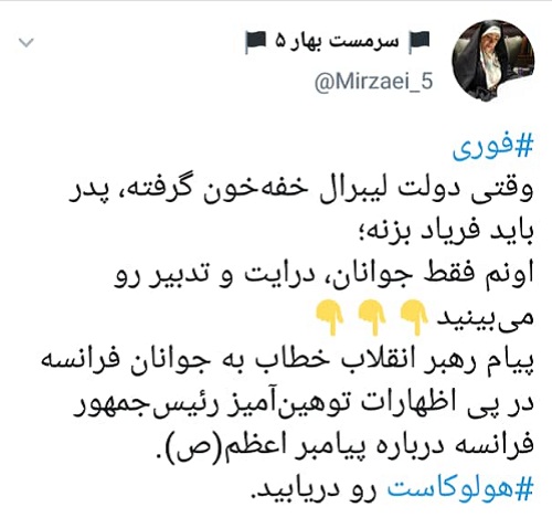 پیام رهبر معظم انقلاب به جوانان فرانسه با واکنش کاربران همراه شد