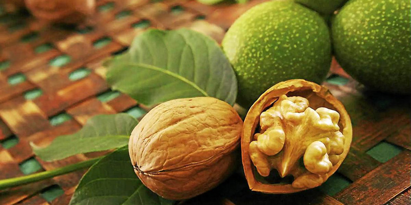 دستور پخت مربای چاقاله گردو