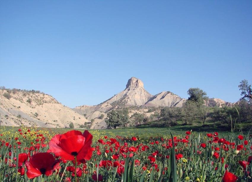 کوه قلاقیران