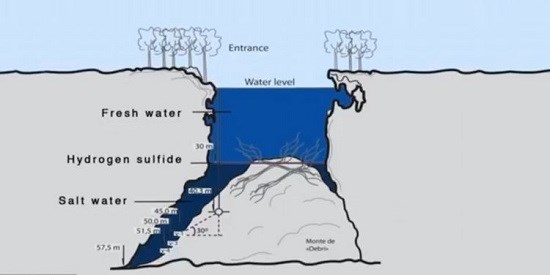 در اعماق این دریا، رودخانه ای در جریان است!