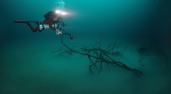 در اعماق این دریا، رودخانه ای در جریان است!