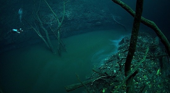 در اعماق این دریا، رودخانه ای در جریان است!