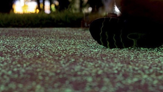 معابر شب تاب در سنگاپور معابر شب تاب در سنگاپور