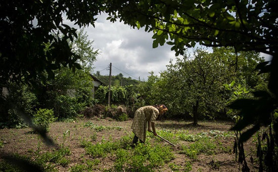کوب بافی مازندران در حال فراموشی