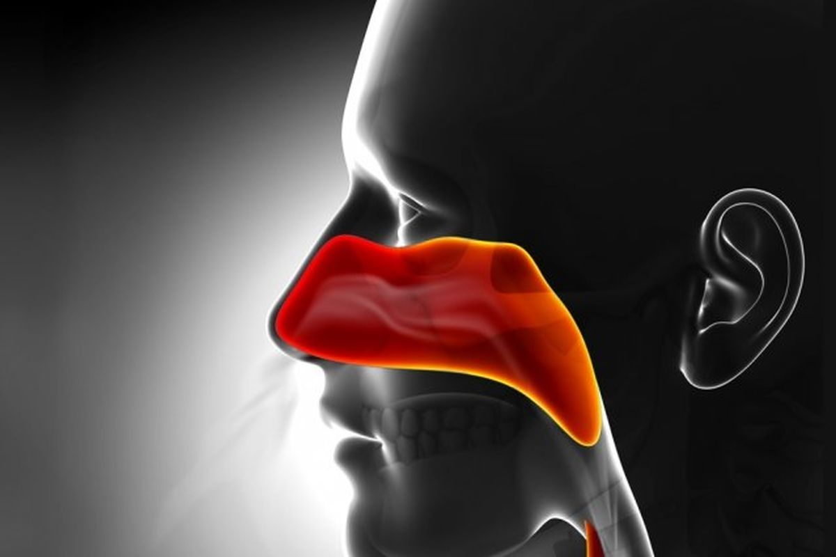 برای خوشبو شدن نفس چه کنیم؟