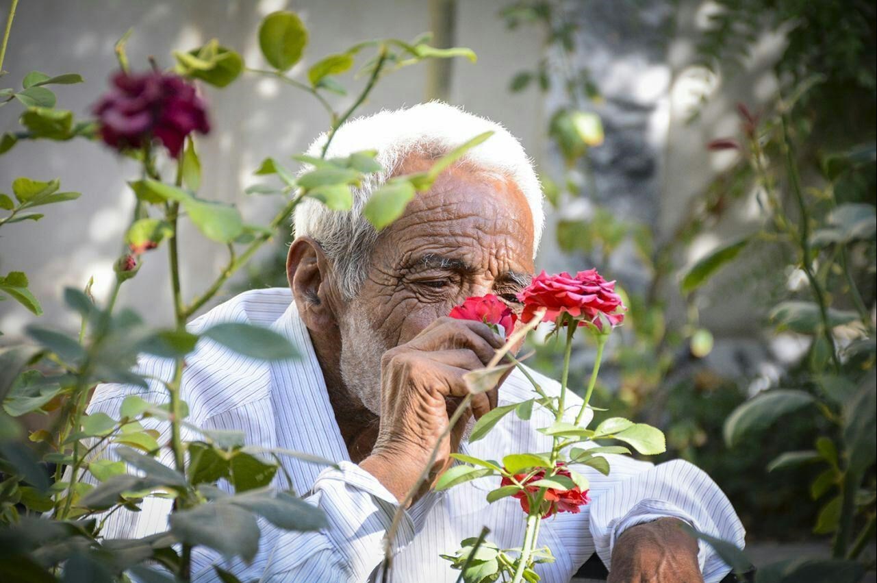 ایران 30 سال آینده پیرترین کشور دنیا خواهد شد