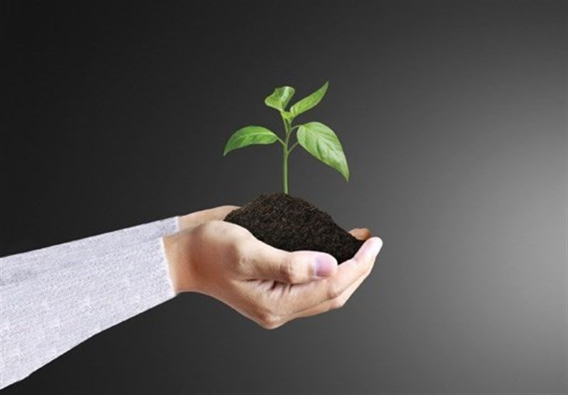 صداقت عامل پاکی عمل