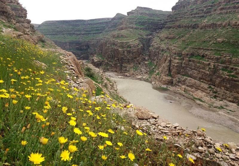 آشنایی با پل معلق دره خزینه