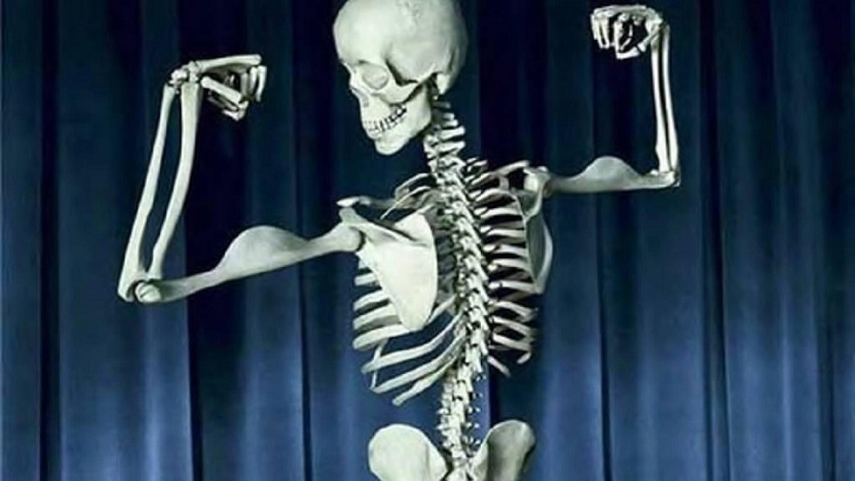 معرفی خواص ماهی کولی