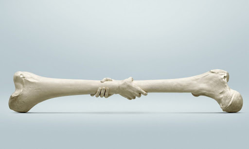 خواص باورنکردنی کلم پیچ