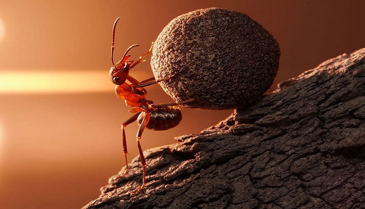 مهارت تاب آوری چیست و چطور آن را تقویت کنیم؟