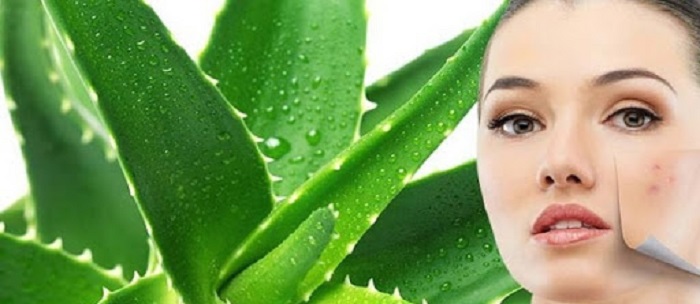 خواص اعجاب انگیز آلوئه‌ ورا بر روی پوست
