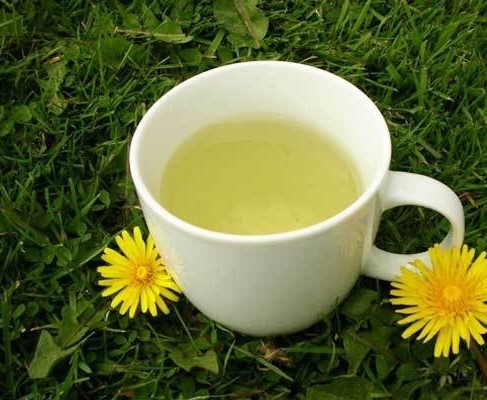 چای قاصدک چه خواصی دارد؟