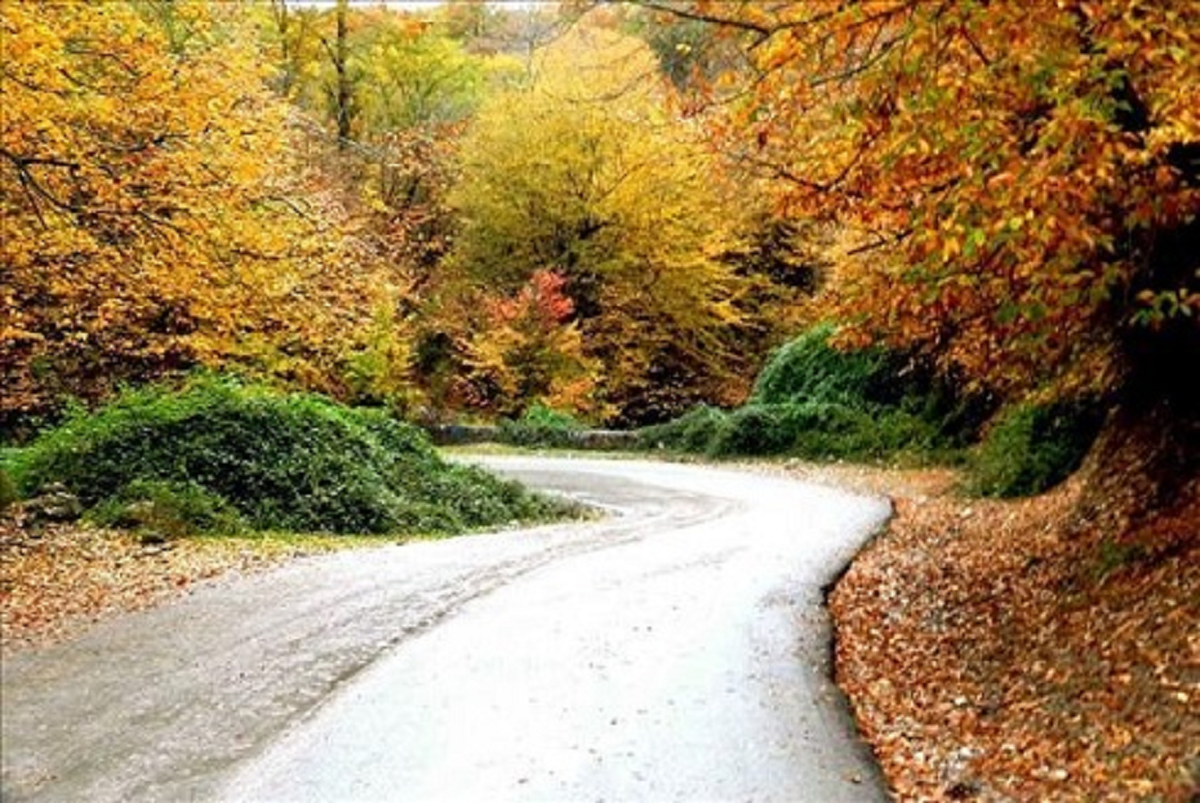توسکستان بینظیرترین وتماشایی ترین جاده جنگلی در گرگان