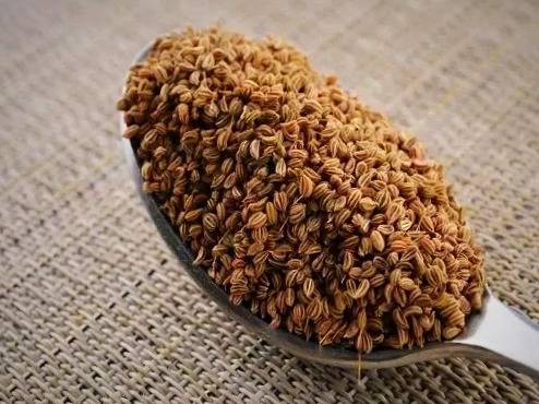 آشنایی با فواید و مضرات زنیان