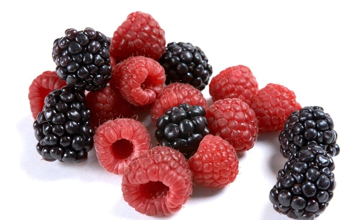 میوه تمشک چه فواید و مضراتی دارد؟