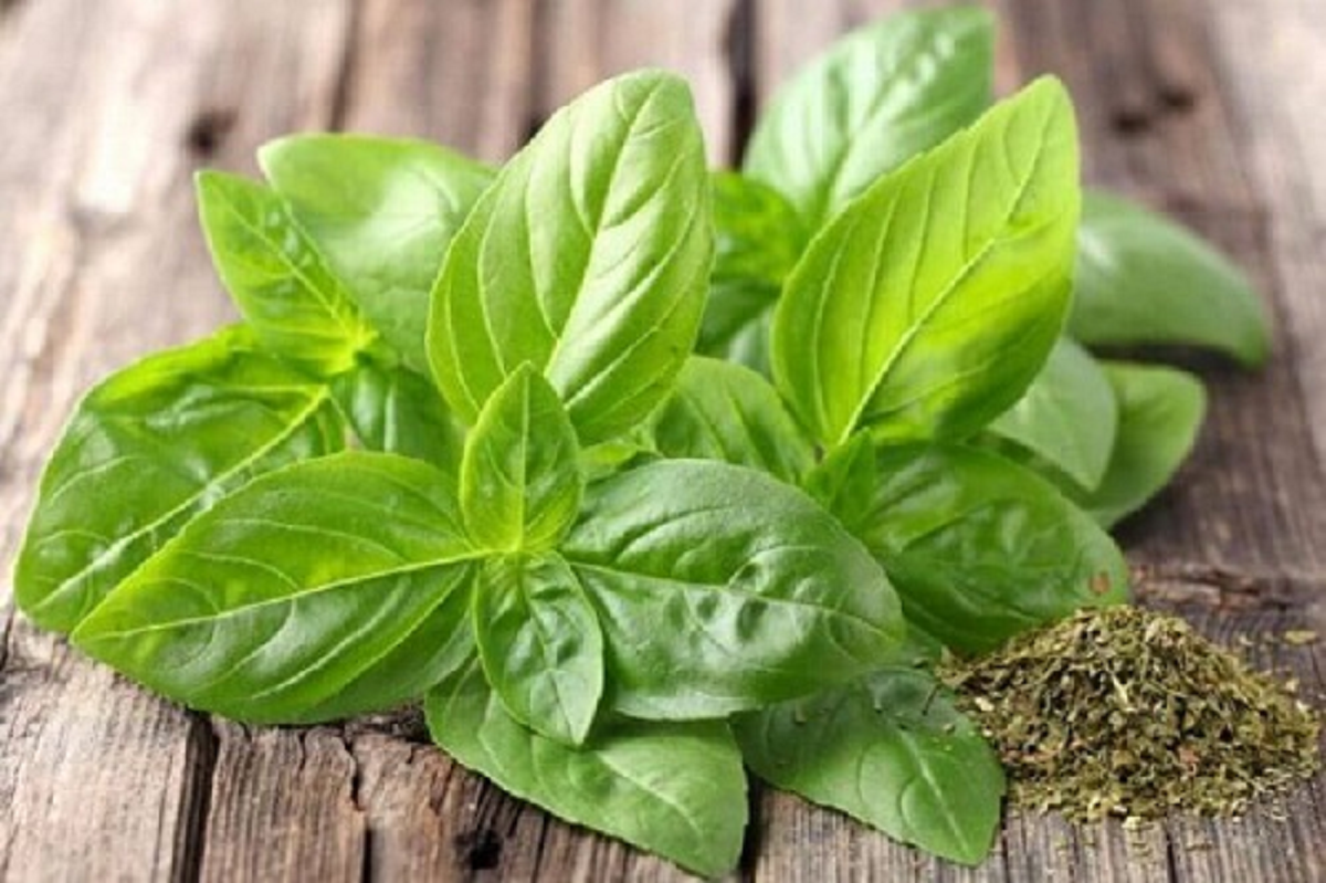 مواد غذایی که باعث پرخاشگری در کودکان می شود