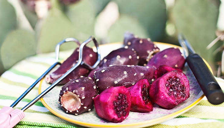 از خواص تا مضرات میوه کاکتوس