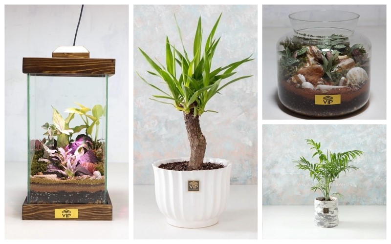 اسم مغازه گل‌فروشی | ایده های انتخاب بهترین نام برای گل‌فروشی