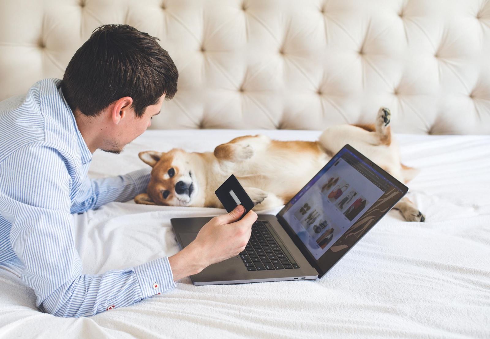 نگهداری سگ در آپارتمان از نظر قانون